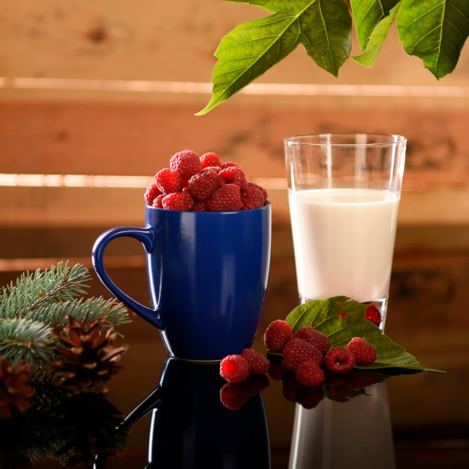 Кружка "Milar", зеленый, 350мл, фарфор