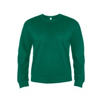 Толстовка мужская ANTARES, тёмно-зелёный, M, 50 % хлопок, 50% полиэстер, 260 г/м2