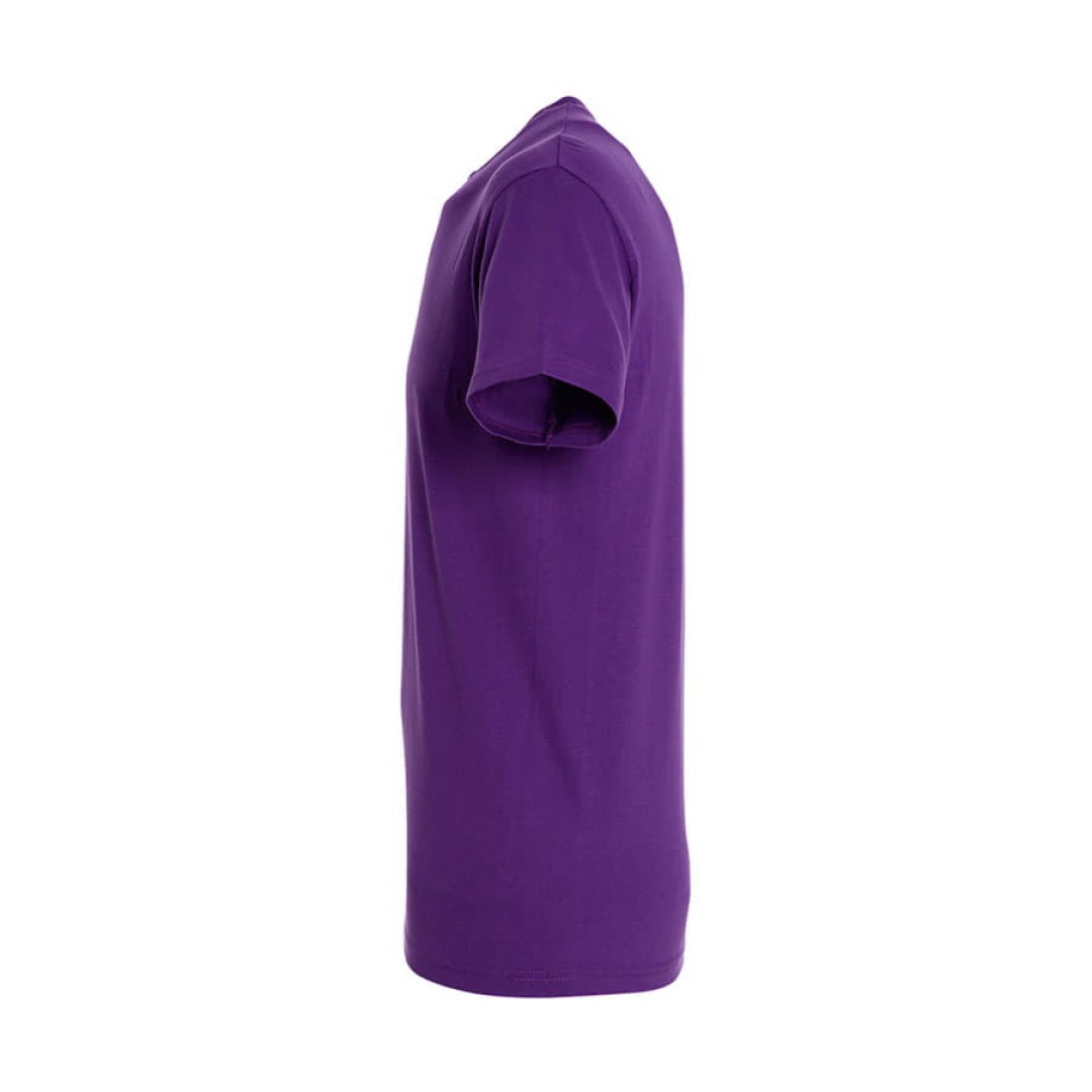 Футболка мужская REGENT, фиолетовый_2XL, 100% х/б, 150 г/м2