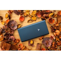 Внешний аккумулятор LAVA 10M, 10000 мАч, металл, синий