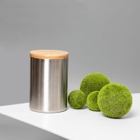 Термокружка BAMBOO с крышкой, 350мл. серебристый, нержавеющая сталь, бамбук