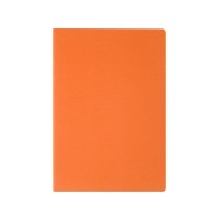 Бизнес тетрадь А5 "Pragmatic", 40 листов в клетку, оранжевый