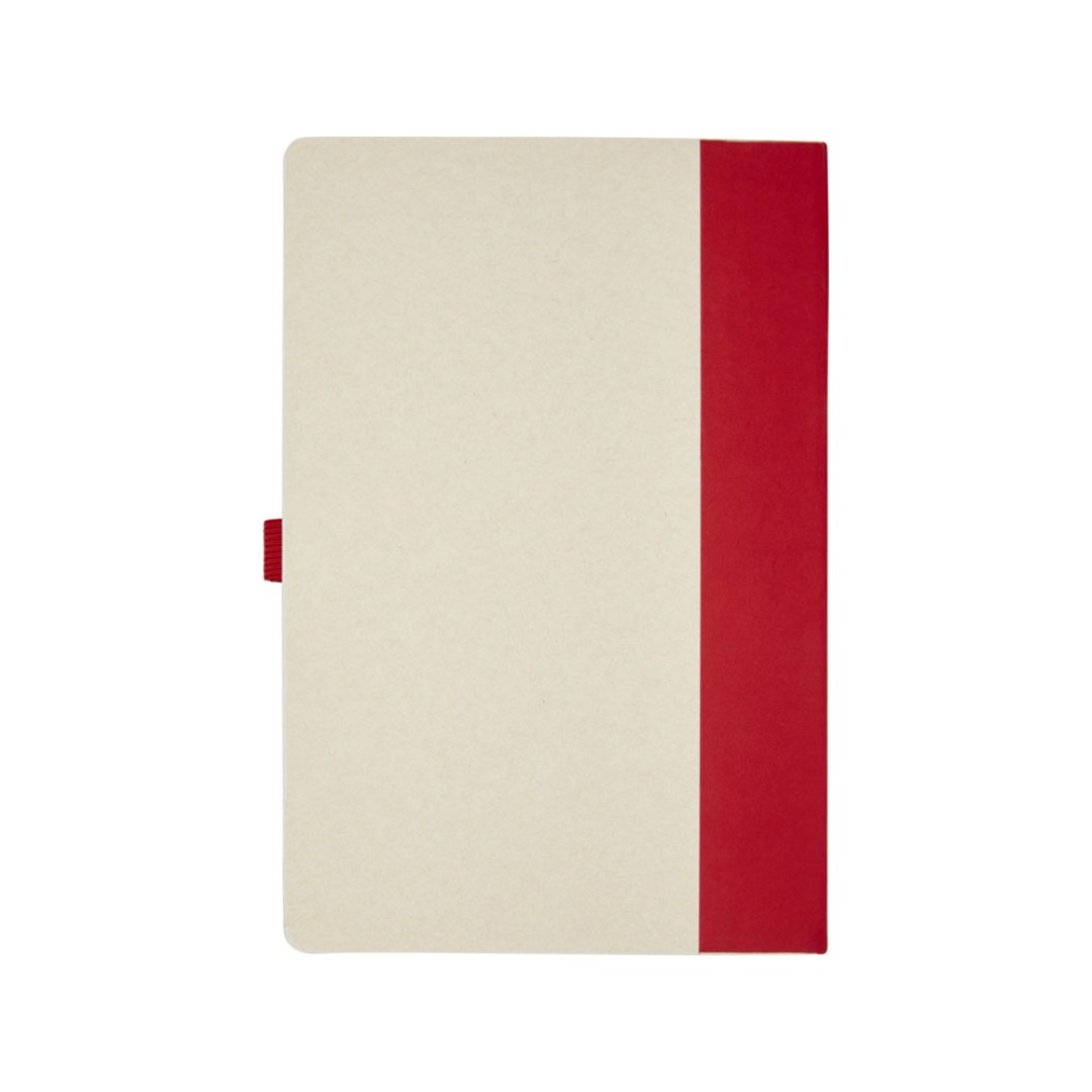 Блокнот размером A5 и шариковая ручка Dairy Dream, красный