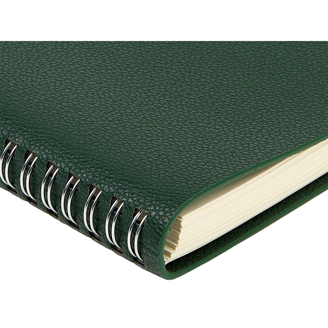Ежедневник недатированный А5 "Alba", зеленый