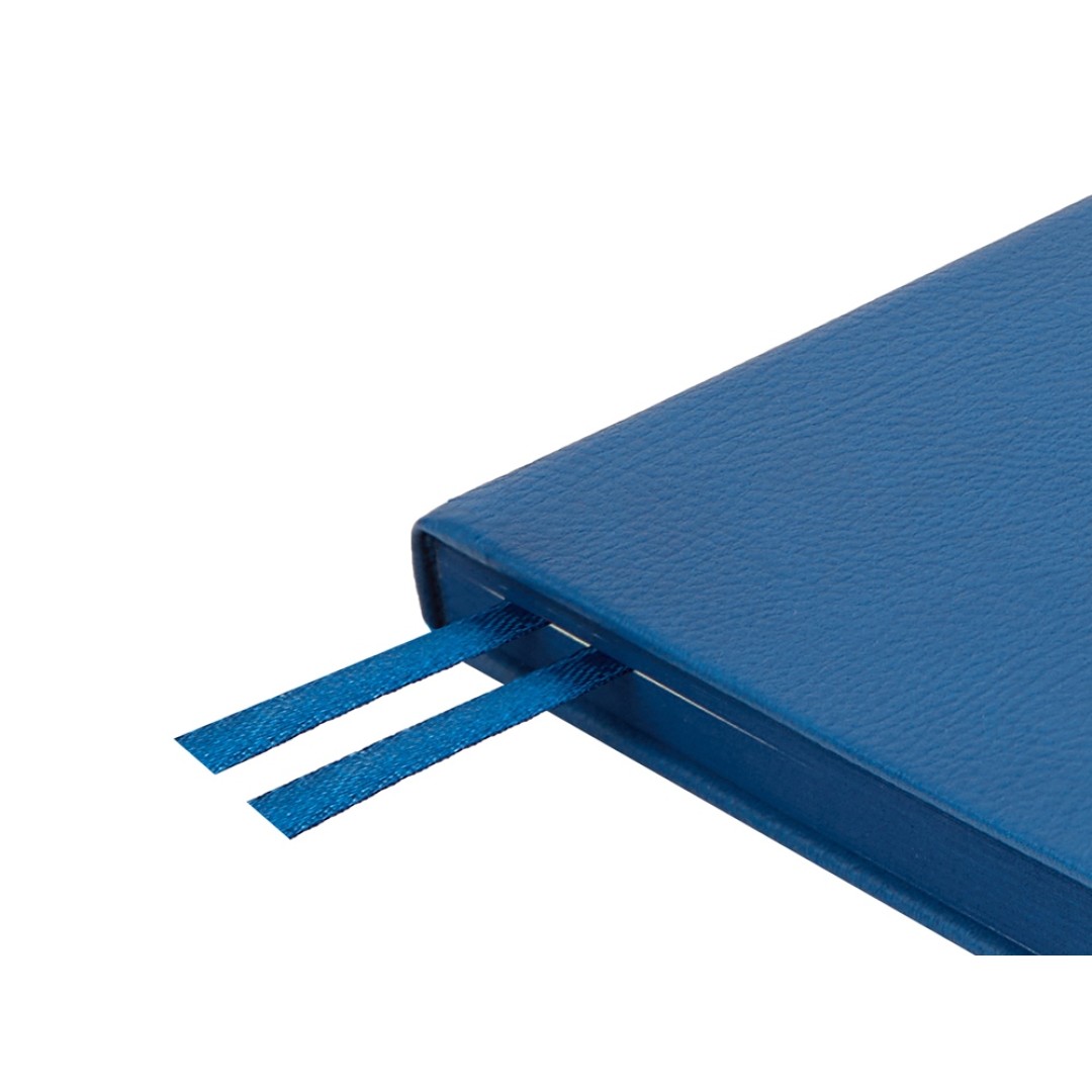 Ежедневник А5 датированный "Megapolis Nappa" на 2026, синий