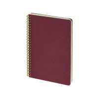 Бизнес тетрадь на гребне А5 "Pragmatic", 60 листов в клетку, бордовый