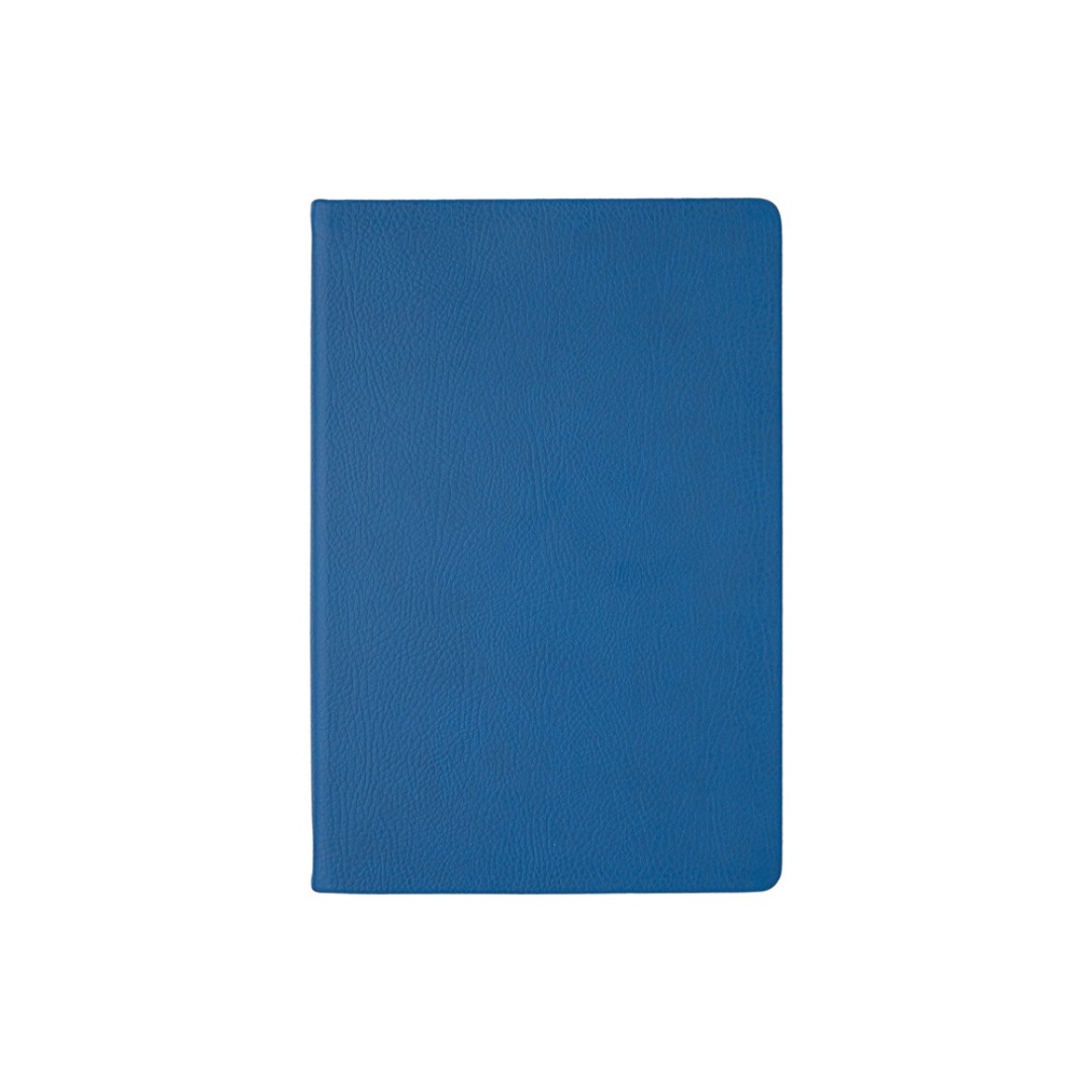 Ежедневник недатированный А5 "Megapolis Nappa", синий