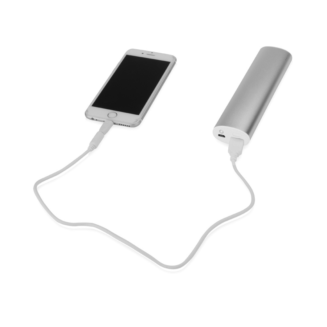 Портативное зарядное устройство "Спайк", 8000 mAh, серебристый