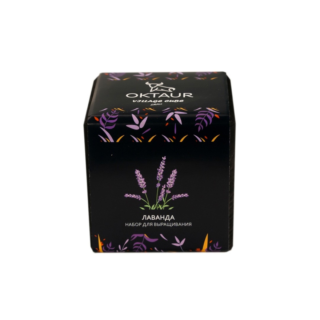 Набор для выращивания "Small village cube "Лаванда"