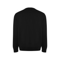 Свитшот "Batian", черный