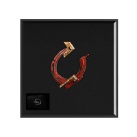 Елочные игрушки (Подкова).Символы года Гранат