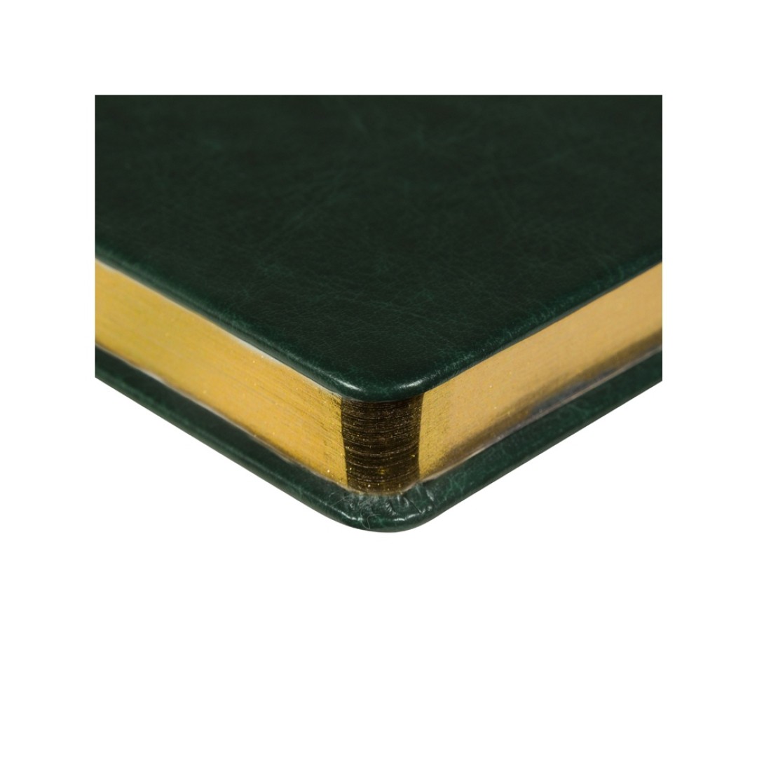 Ежедневник недатированный А5 "Megapolis Nebraska", зеленый с золотым обрезом