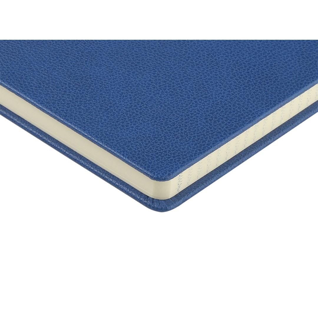 Ежедневник А5 датированный "Megapolis Loft" на 2026, синий