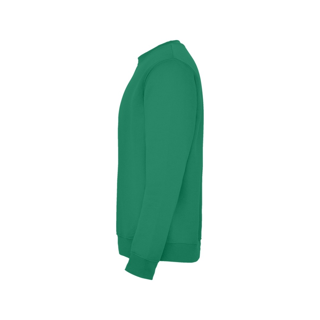 Свитшот с начесом "Clasica" унисекс, зеленый