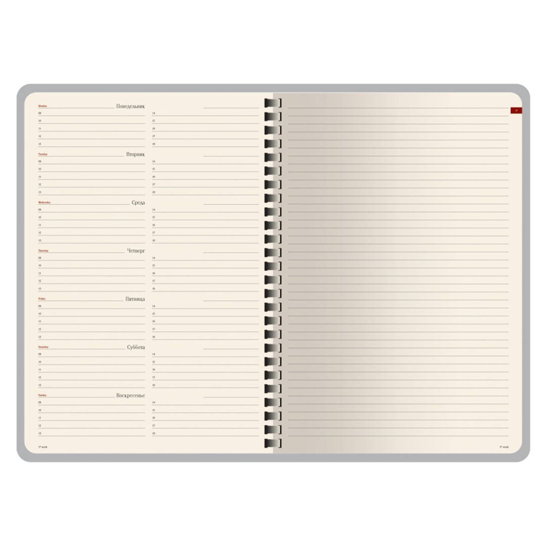 Еженедельник недатированный А5 «Concept», коричневый