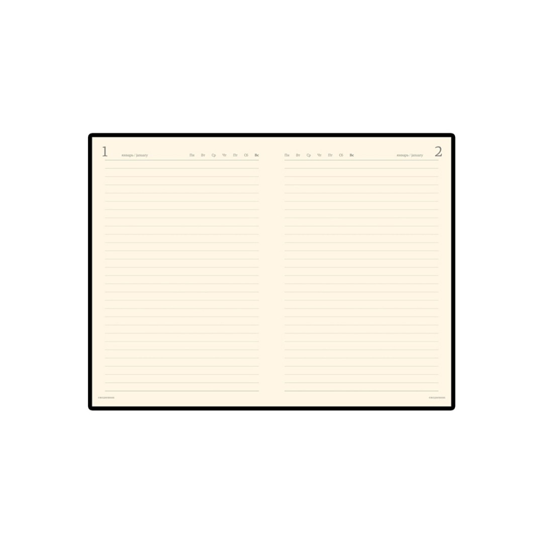 Ежедневник полудатированный портфолио А5  "PROFY" синий