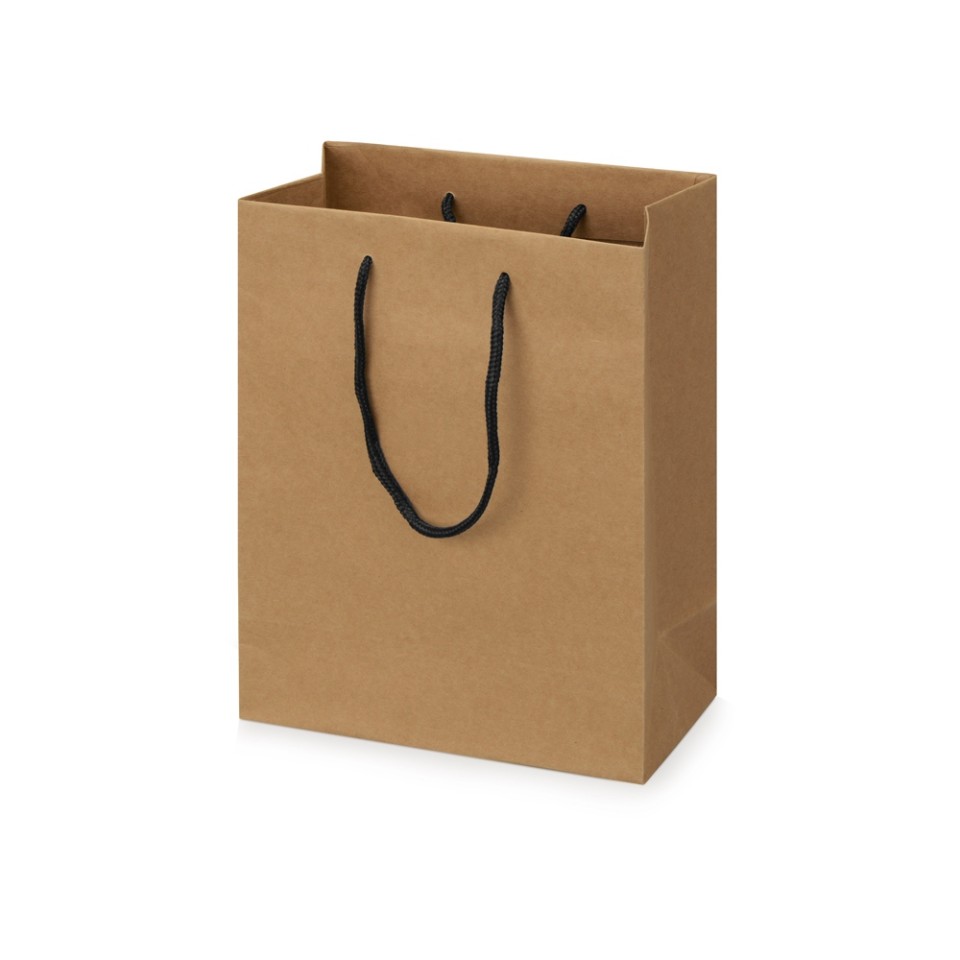 Пакет подарочный Kraft S, 23x30x12 см (Р)