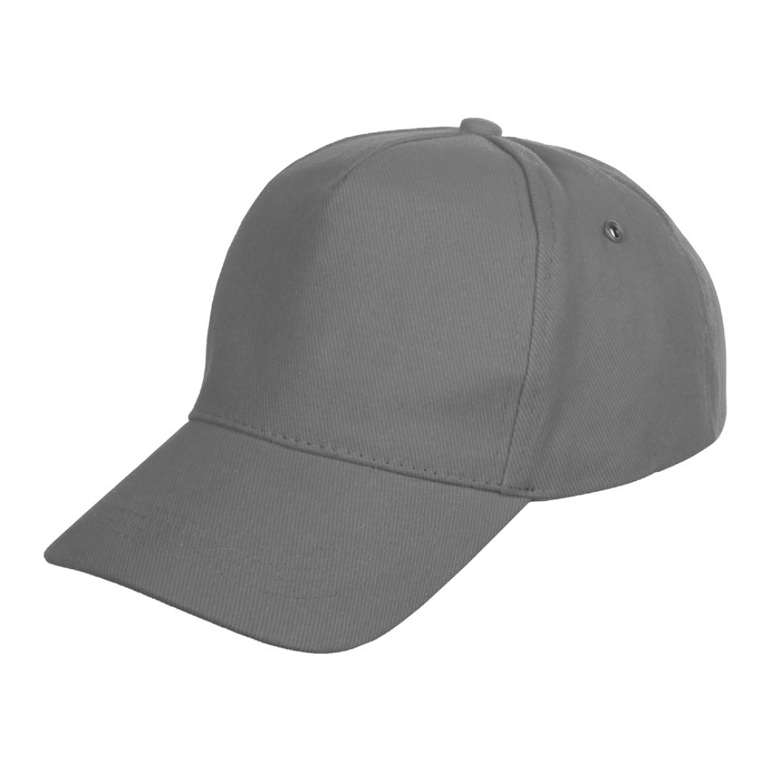 Бейсболка «Florida 350» 5-панельная, средне-серый