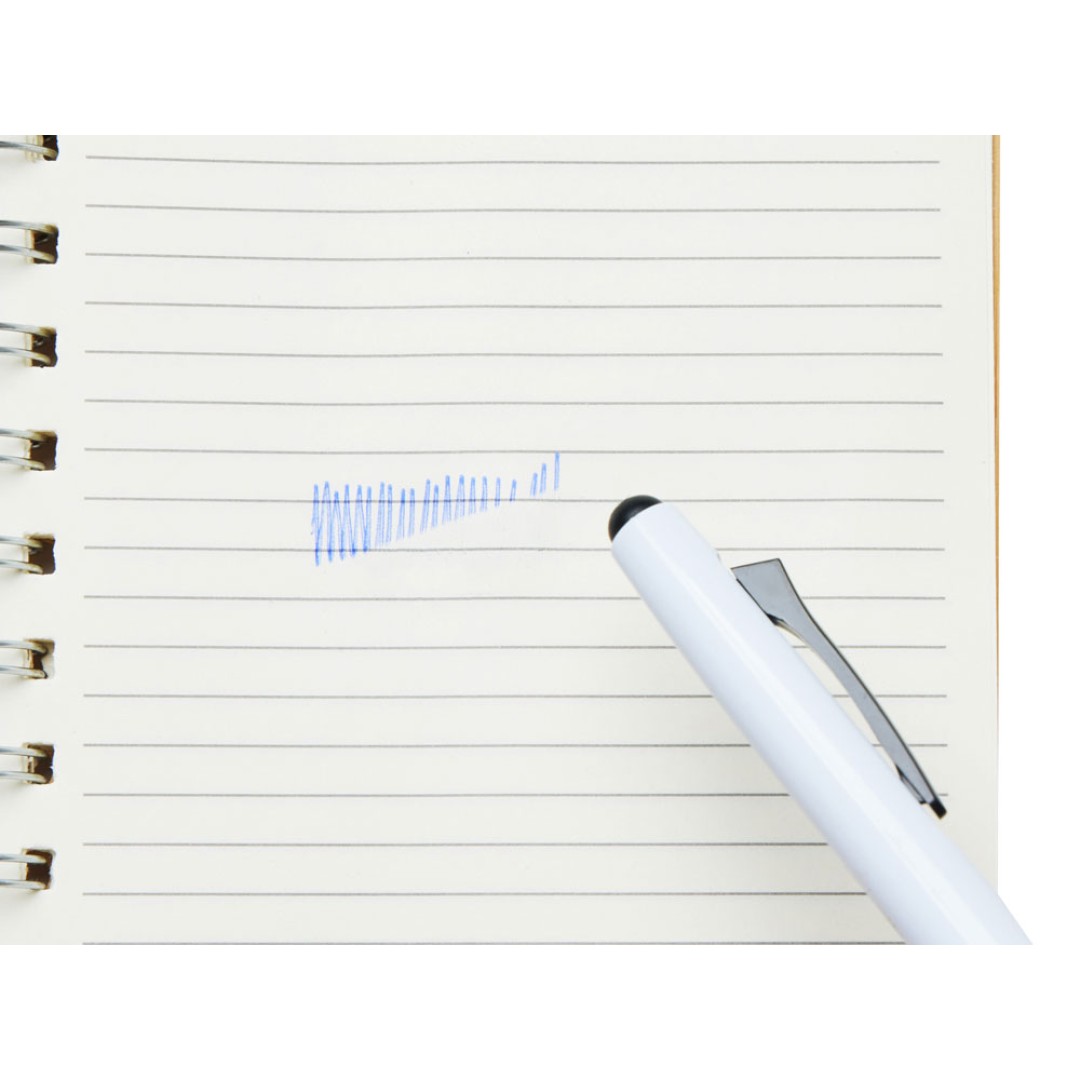 Пластиковая шариковая ручка пиши-стирай "InkShift", белый корпус с черным