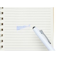 Пластиковая шариковая ручка пиши-стирай "InkShift", белый корпус с черным