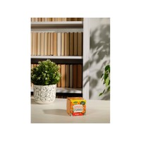 Набор для выращивания "Экокуб Magicme "Бархатцы"