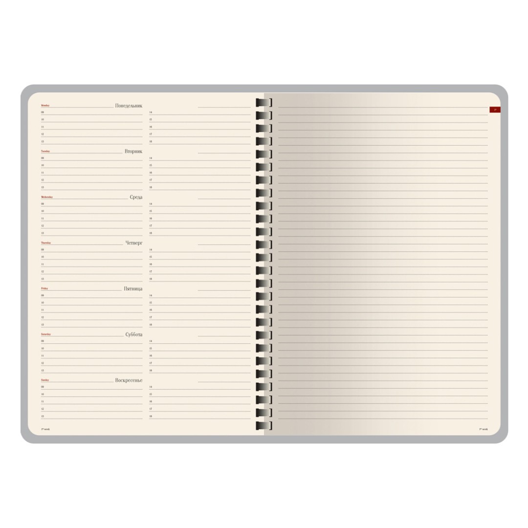 Еженедельник недатированный А5 «Concept», оранжевый