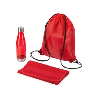 Спортивный набор с бутылкой и полотенцем «Beginner», красный