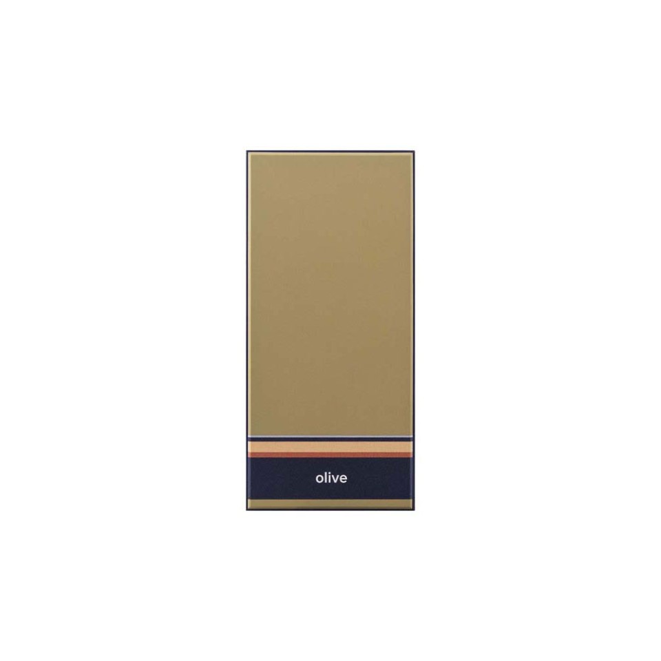 Внешний аккумулятор Rombica NEO ARIA Olive, 10000мАч, Soft-touch, PD, QCharge, Type-C, оливк/синий