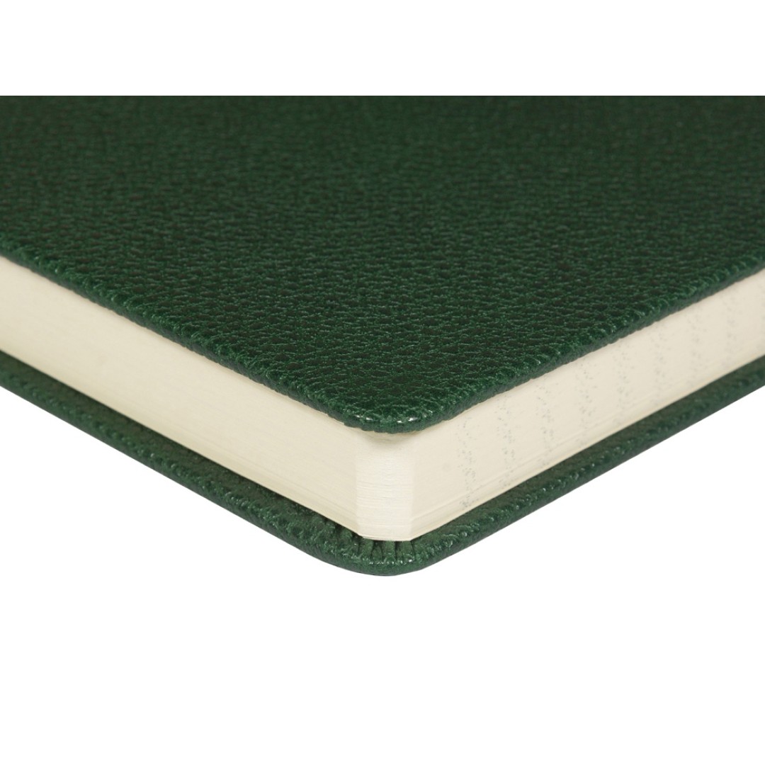 Ежедневник недатированный А5 "Loft", зеленый