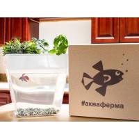 Набор для выращивания растений и ухода за рыбкой "Акваферма"