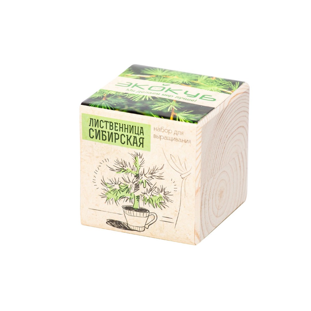 Набор для выращивания "Экокуб Classic "Лиственница Сибирская"