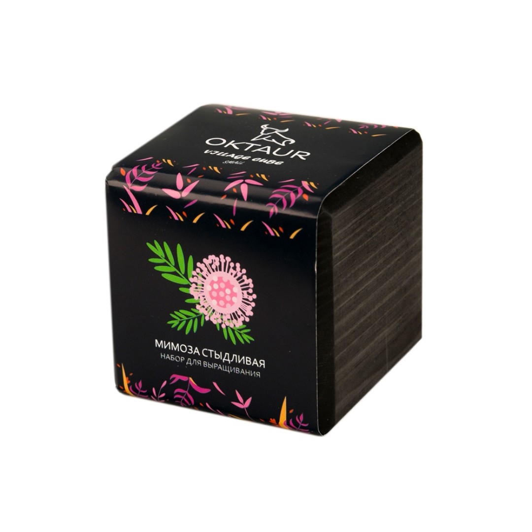 Набор для выращивания "Small village cube "Мимоза стыдливая"