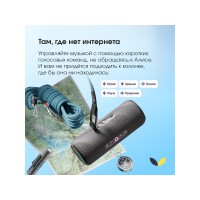 Умная портативная колонка Яндекс Станция Стрит с Алисой, черный (YNDX-00030BLK)