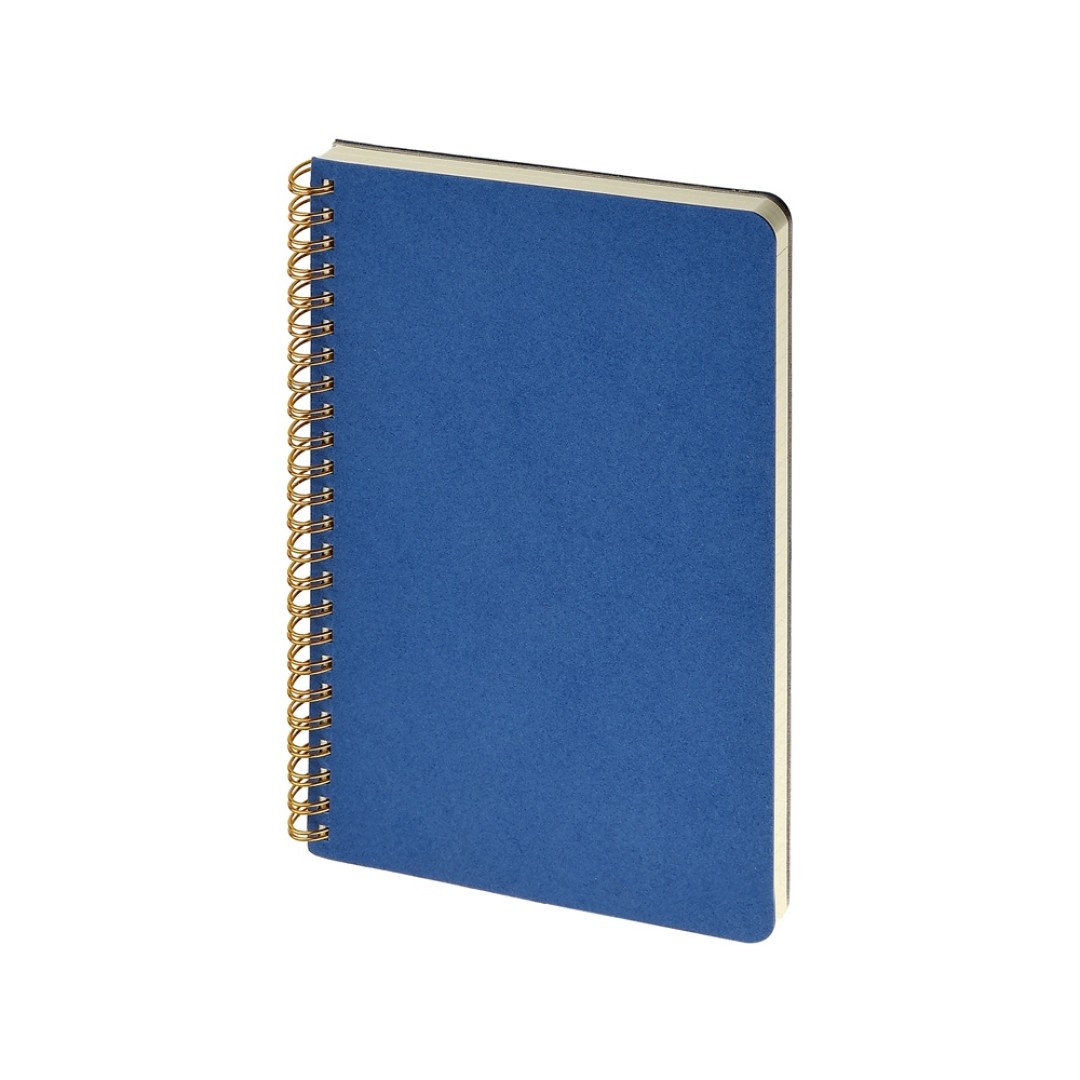 Бизнес тетрадь на гребне А5 "Pragmatic", 60 листов в клетку, синий