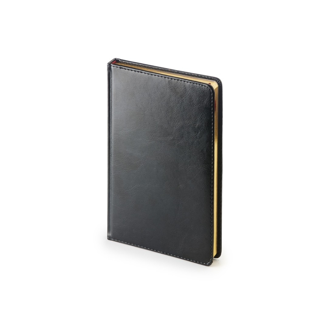 Ежедневник недатированный А4 "Sidney Nebraska", черный (золотой обрез)