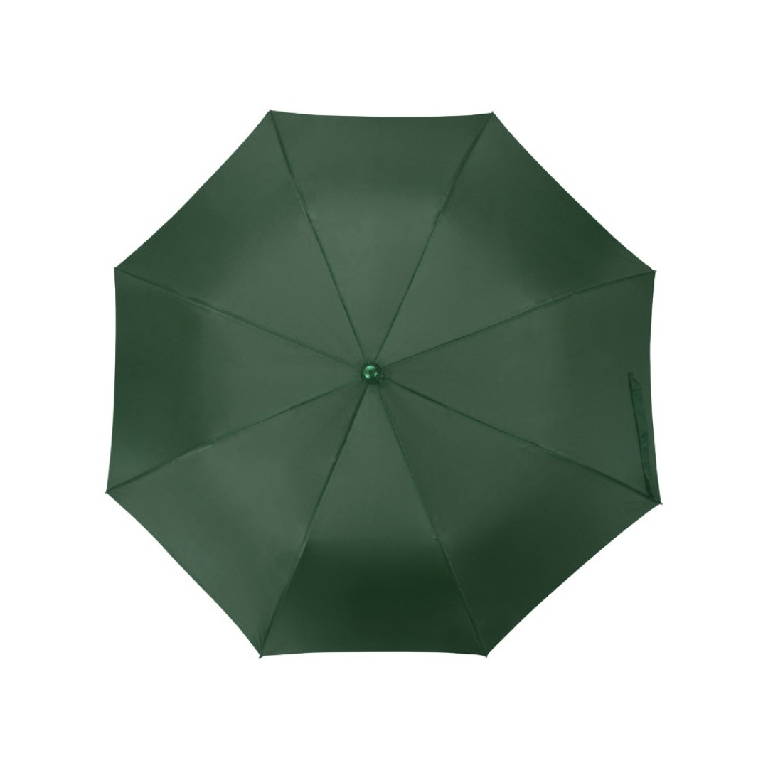 Зонт складной "Tulsa", полуавтоматический, 2 сложения, с чехлом, зеленый
