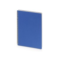 Бизнес тетрадь на гребне А4 "Pragmatic", 100 листов в клетку, синий