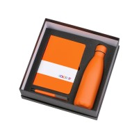 Подарочный набор c блокнотом C3, ручкой и термобутылкой, оранжевый