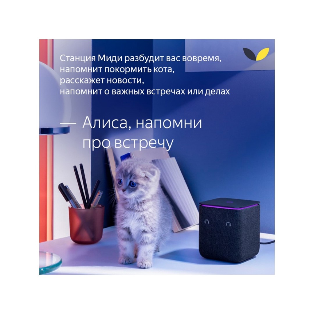 Умная колонка ЯНДЕКС Станция Миди с Алисой, с Zigbee, 24 Вт, цвет: черный (YNDX-00054BLK)