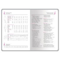 Ежедневник недатированный А5+ "Россия. Флаг"