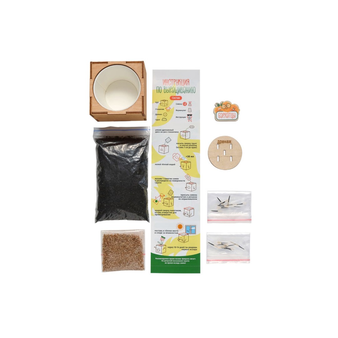 Набор для выращивания "Экокуб Magicme "Бархатцы"