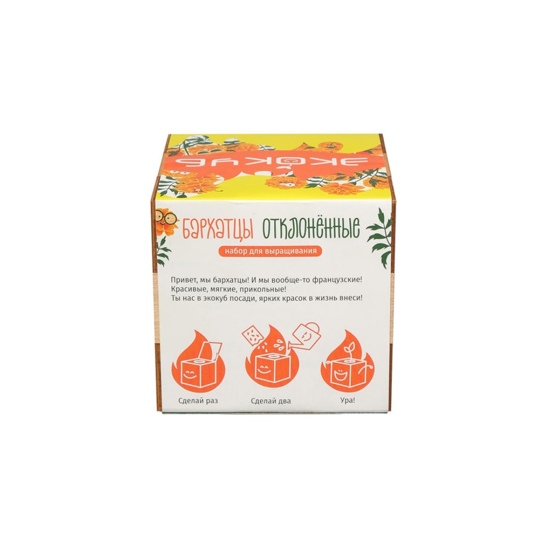 Набор для выращивания "Экокуб Magicme "Бархатцы"
