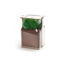 Композиция "Мох в интерьере" мокко, зеленый