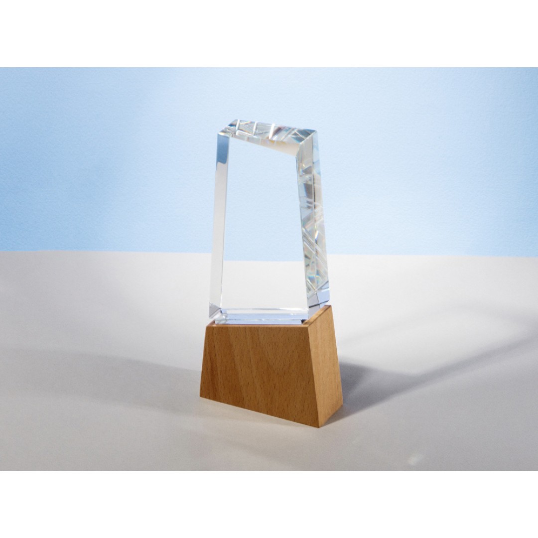 Награда "Konix", прозрачный