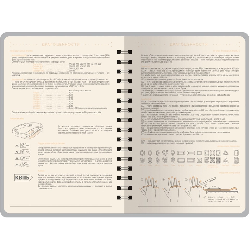 Ежедневник А5 "Tintoretto", бордовый