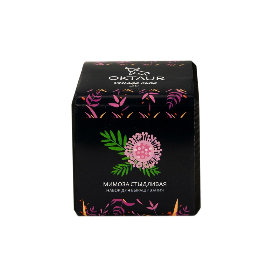 Набор для выращивания "Small village cube "Мимоза стыдливая"