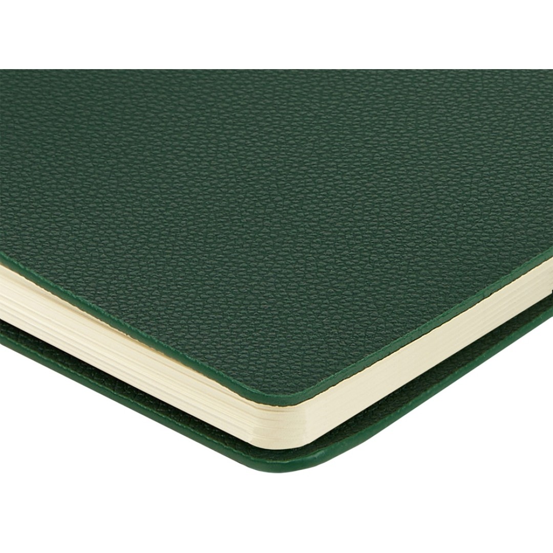 Ежедневник недатированный А5 "Alba", зеленый