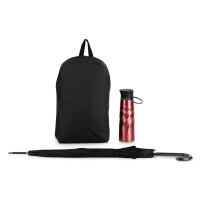 Подарочный набор с бутылкой для воды, зонтом и рюкзаком " Water element" , красный