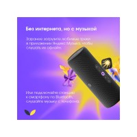 Умная портативная колонка Яндекс Станция Стрит с Алисой, черный (YNDX-00030BLK)