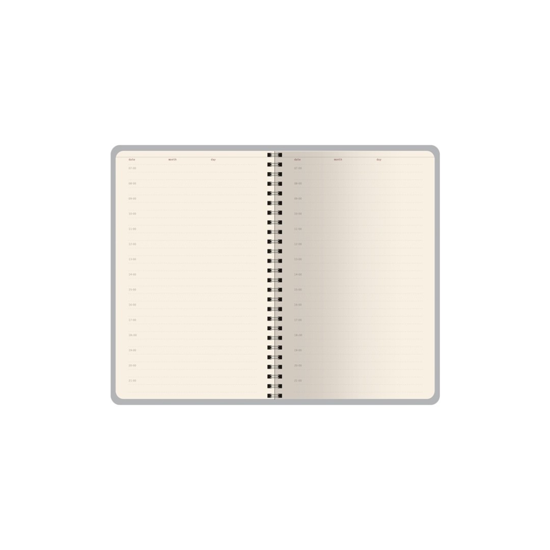 Ежедневник недатированный А5 "Alba", серый